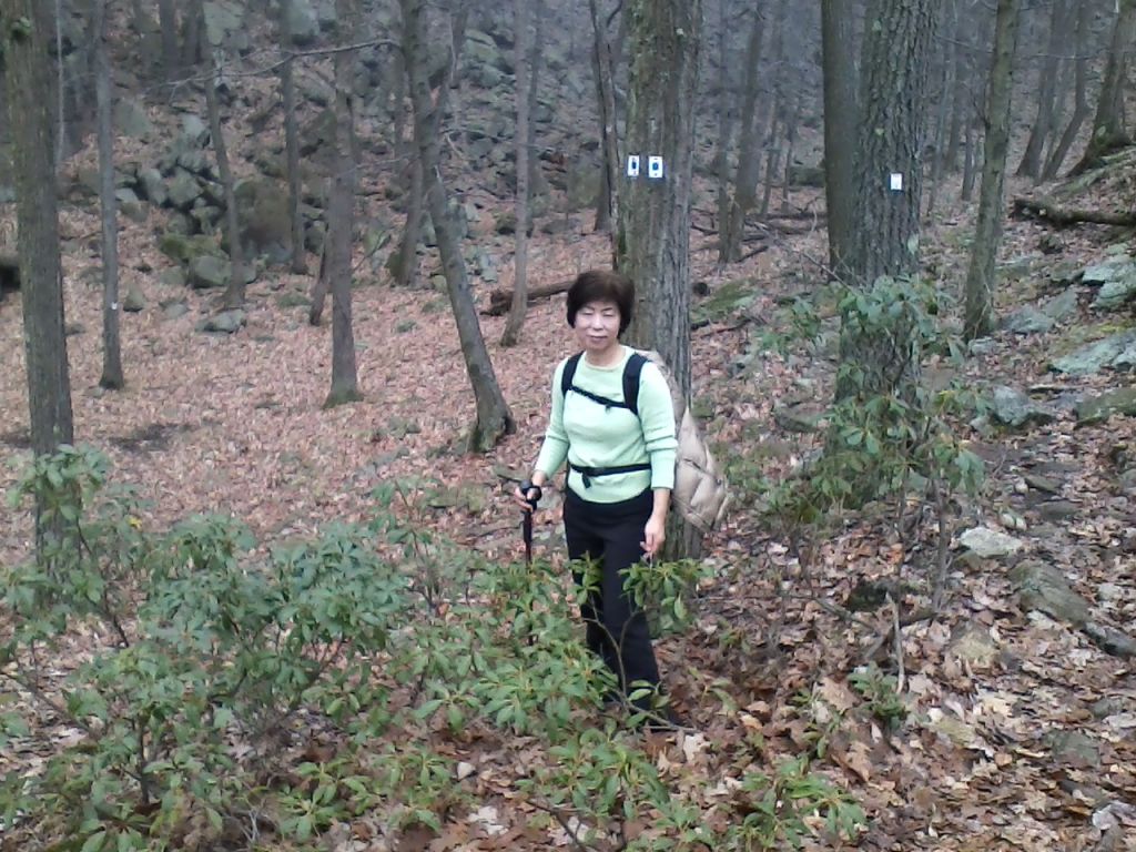 1112121104.jpg : Harriman - First Hiking after Sandy Nov 12, 2012