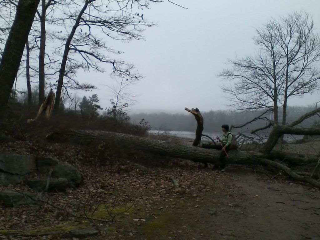 1112121231.jpg : Harriman - First Hiking after Sandy Nov 12, 2012