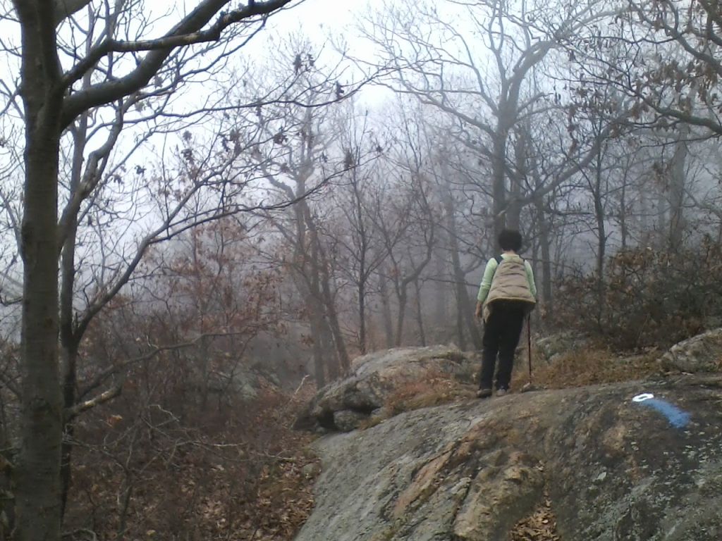 1112121113.jpg : Harriman - First Hiking after Sandy Nov 12, 2012