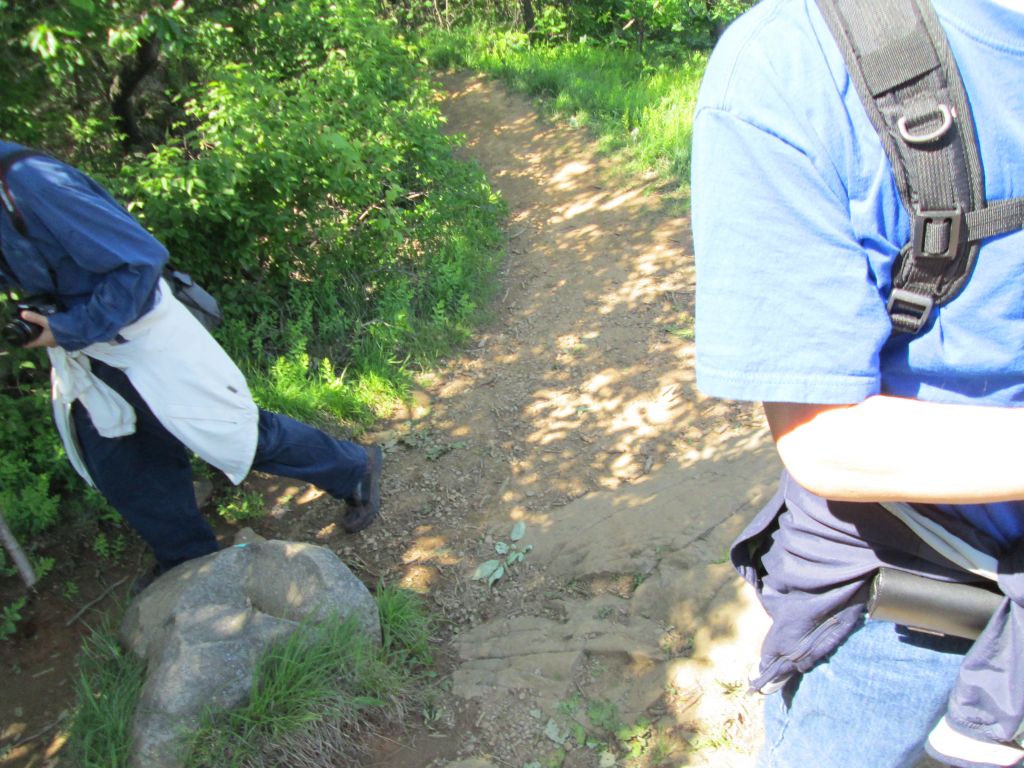 IMG_0978.JPG : Hiking again! May 26 n 27 Palisades Pkwy Trails