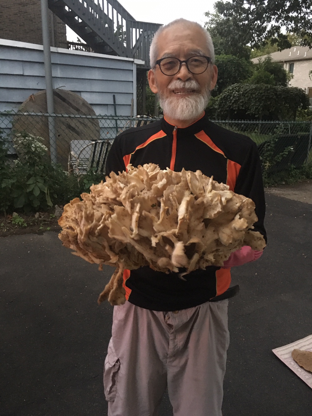 210929a 20 lbs Maitake.jpg