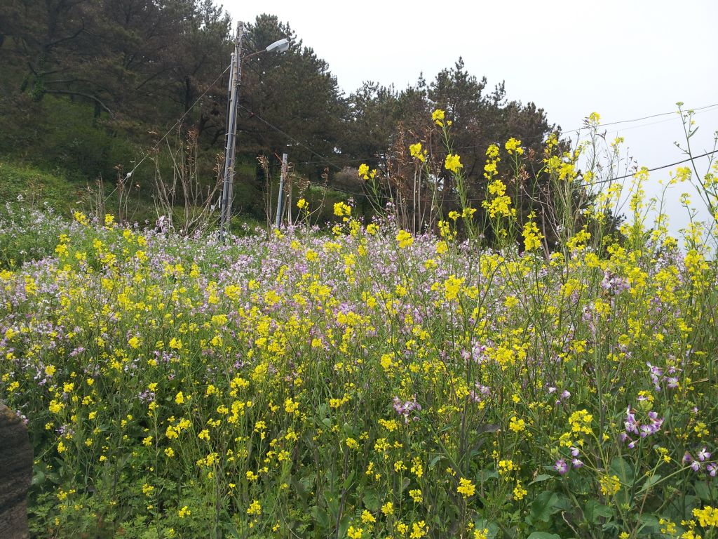 20120419_150623.jpg : Korean District Conference April 17-21, 2012 in Jeju Island, Korea