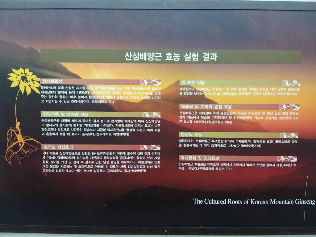 20120419_134911.jpg : Korean District Conference April 17-21, 2012 in Jeju Island, Korea