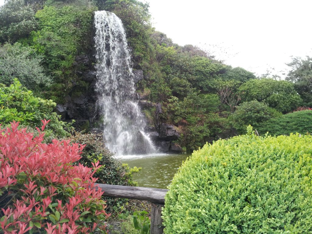 20120420_134333.jpg : Korean District Conference April 17-21, 2012 in Jeju Island, Korea