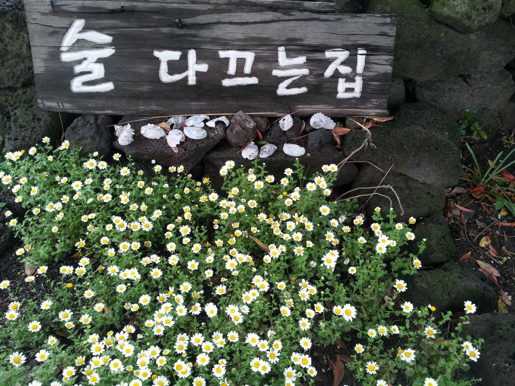 20120420_133415.jpg : Korean District Conference April 17-21, 2012 in Jeju Island, Korea