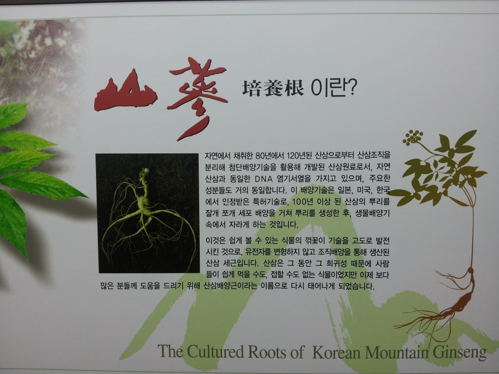 20120419_135020.jpg : Korean District Conference April 17-21, 2012 in Jeju Island, Korea