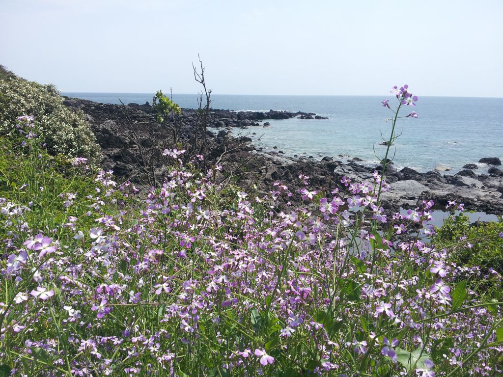 20120418_131123.jpg : Korean District Conference April 17-21, 2012 in Jeju Island, Korea