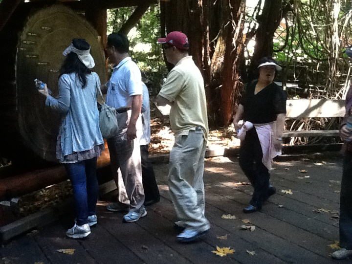 Photo Editor_460.JPG : San Francisco Trip (1) The Muir Woods Park