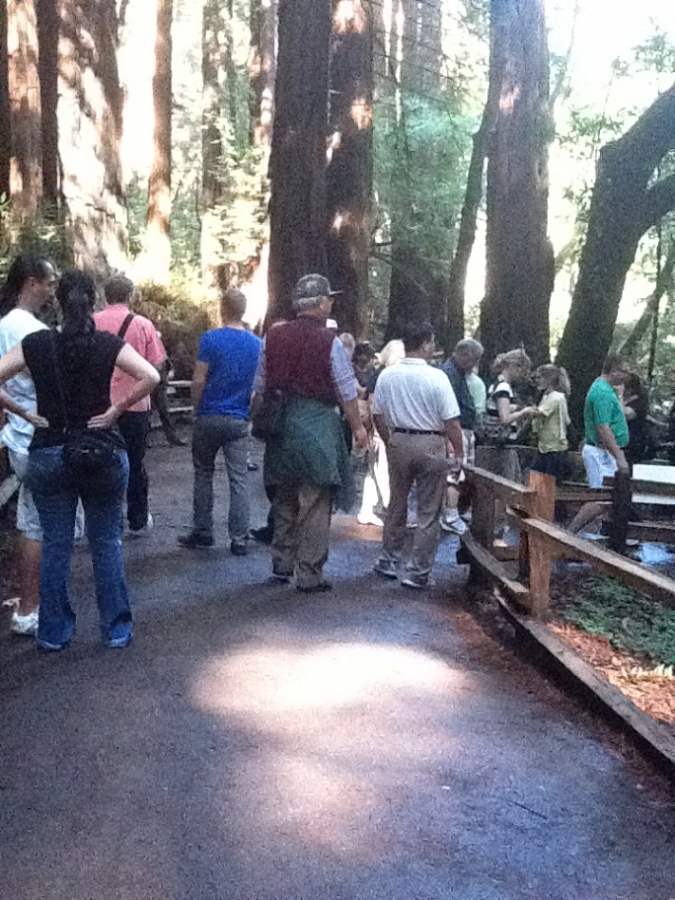 Photo Editor_478.JPG : San Francisco Trip (1) The Muir Woods Park