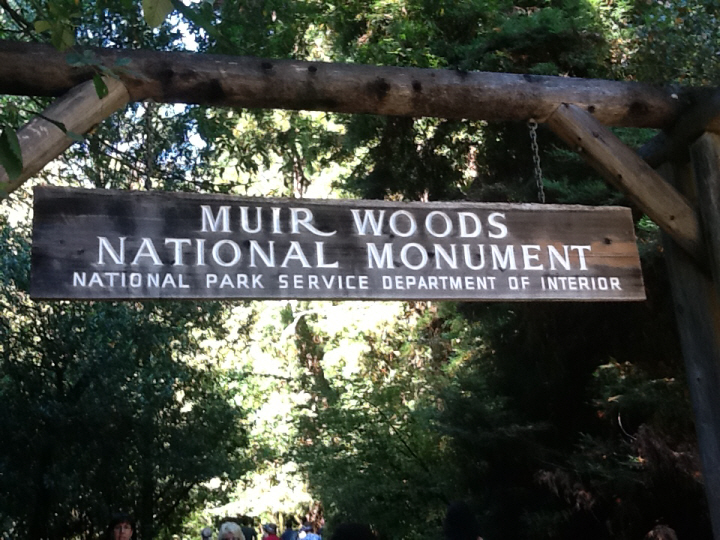 Photo Editor_450.JPG : San Francisco Trip (1) The Muir Woods Park