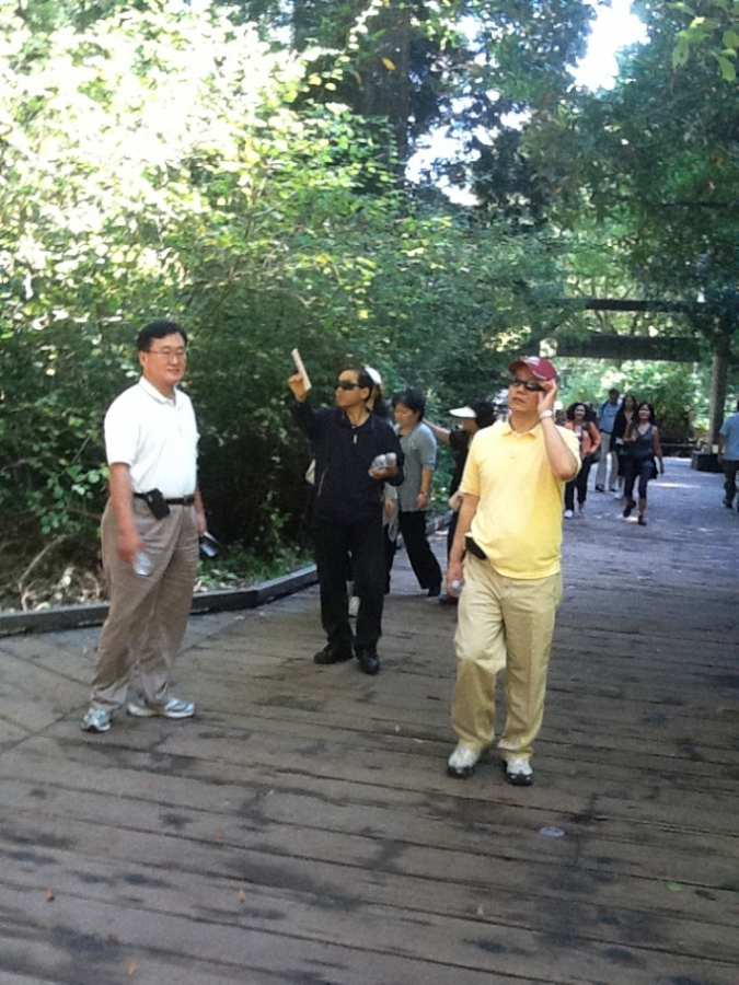 Photo Editor_453.JPG : San Francisco Trip (1) The Muir Woods Park