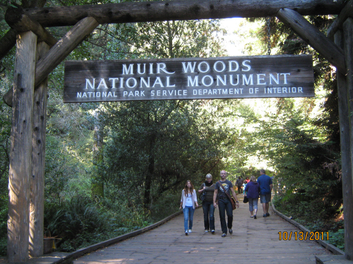 Photo Editor_111013 Muir Woods Entrance (2).JPG : San Francisco Trip (1) The Muir Woods Park