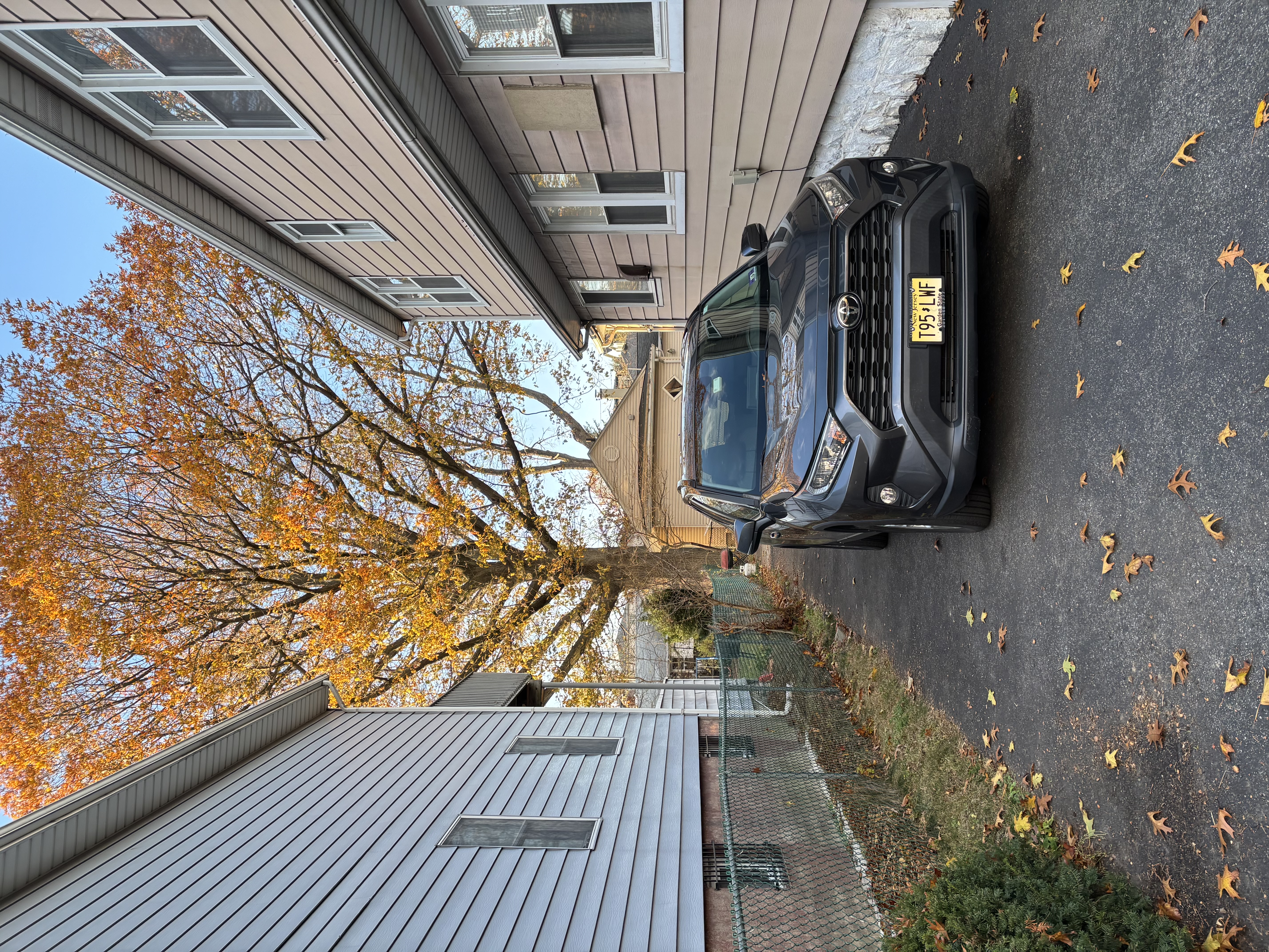 IMG_4432[1].JPG : My Story (177) After Raking