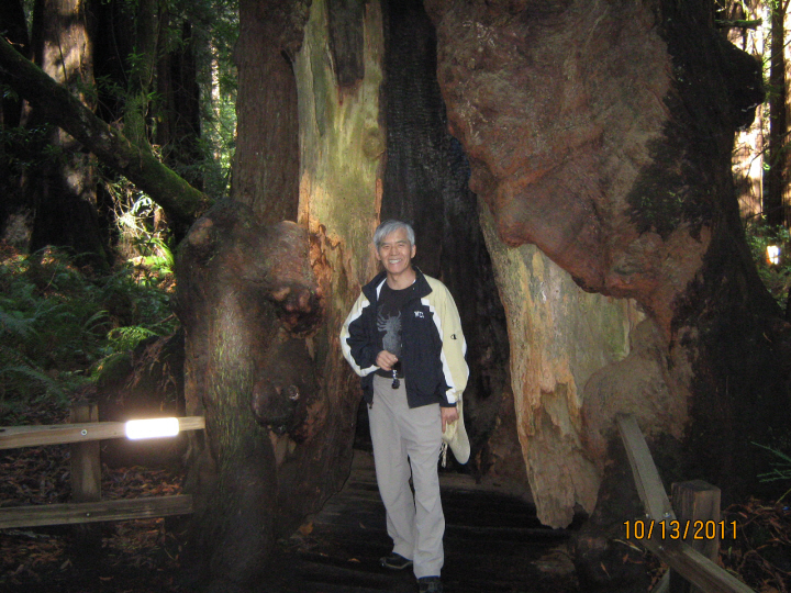 Photo Editor_111013i Muir Wood.JPG