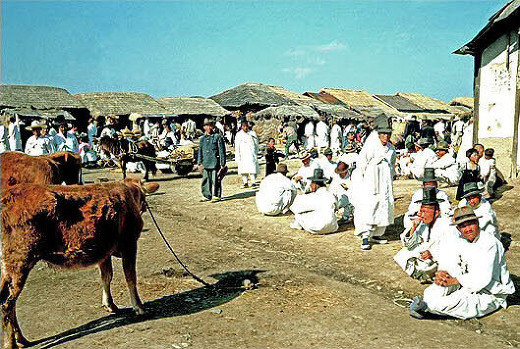 ox market.jpg : 포트리 한담 (137) 뒤출이 아부지 이야기 – 소꾸모티