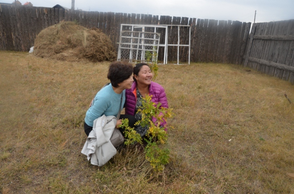 DSC_0440 (600x397).jpg : 딘지 교회헌당예배 및 사역 9월 23일 DSC_0440 (600x397).jpg : 딘지 교회헌당예배 및 사역 9월 23일
