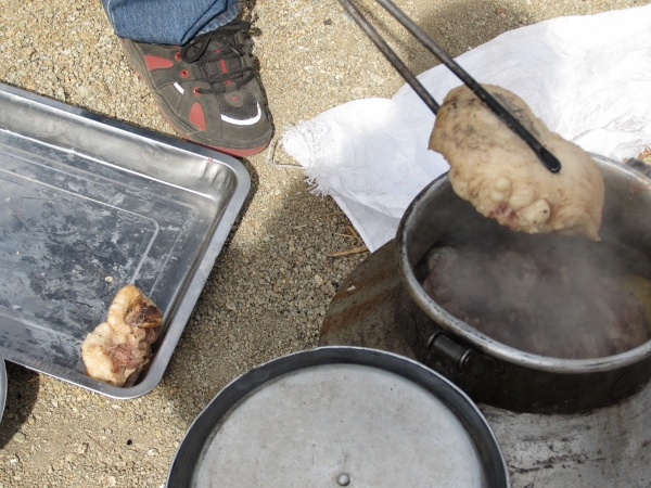 IMG_0620 (600x450).jpg : 딘지 교회헌당예배 및 사역 9월 23일 IMG_0620 (600x450).jpg : 딘지 교회헌당예배 및 사역 9월 23일