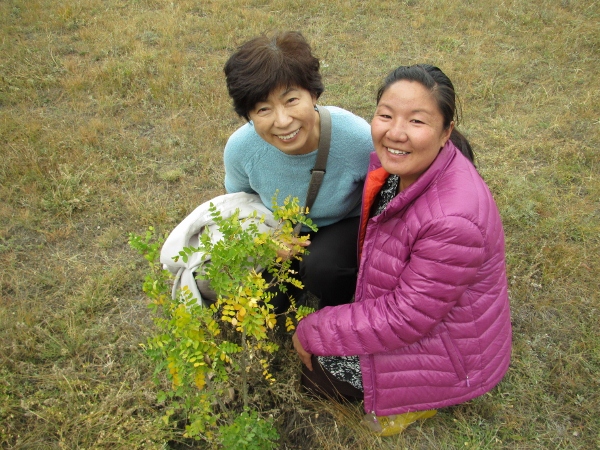 IMG_0639 (600x450).jpg : 딘지 교회헌당예배 및 사역 9월 23일 IMG_0639 (600x450).jpg : 딘지 교회헌당예배 및 사역 9월 23일
