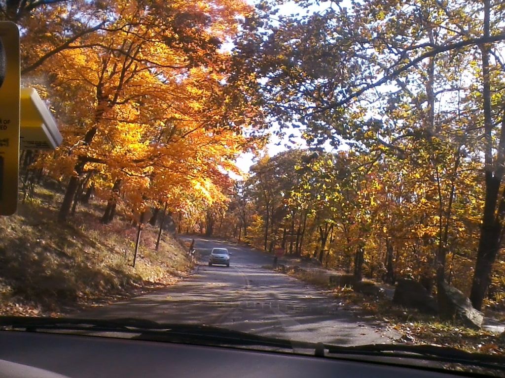 1020121011a.jpg : Oct 20, 2010 Bear Mountain Tower