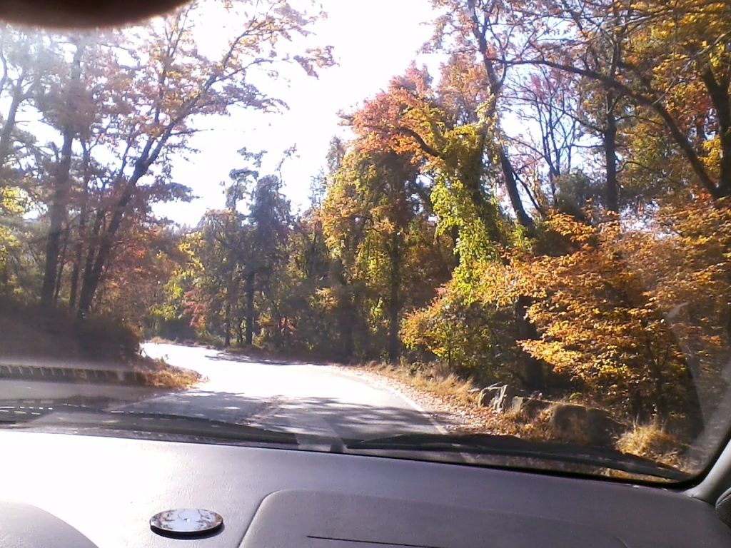 1020121013.jpg : Oct 20, 2010 Bear Mountain Tower