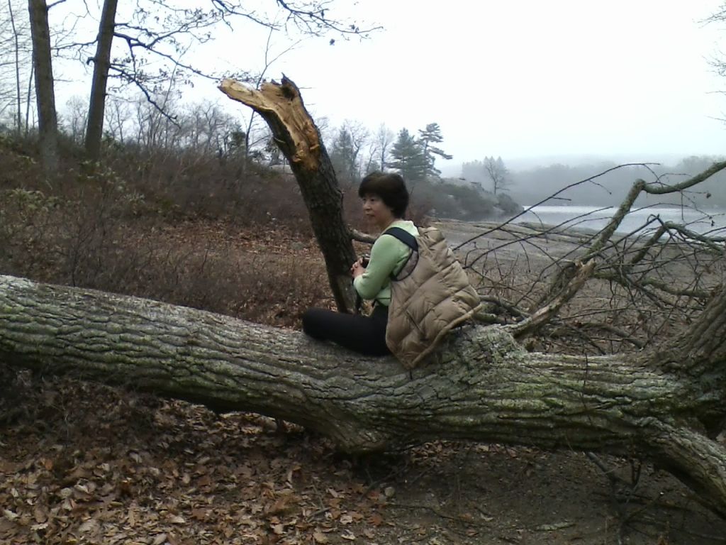 1112121231a.jpg : Harriman - First Hiking after Sandy Nov 12, 2012 1112121231a.jpg : Harriman - First Hiking after Sandy Nov 12, 2012