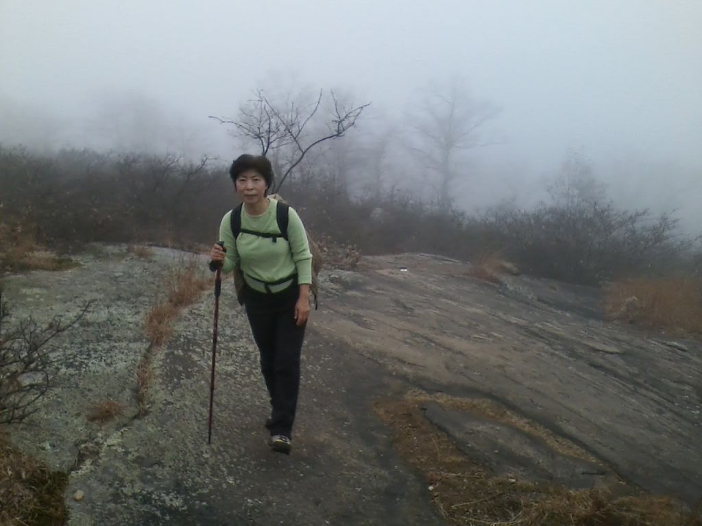 1112121135.jpg : Harriman - First Hiking after Sandy Nov 12, 2012 1112121135.jpg : Harriman - First Hiking after Sandy Nov 12, 2012