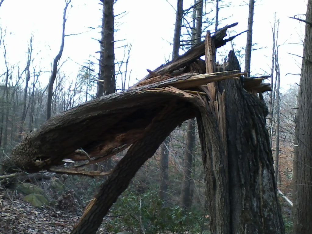 1112121335.jpg : Harriman - First Hiking after Sandy Nov 12, 2012 1112121335.jpg : Harriman - First Hiking after Sandy Nov 12, 2012