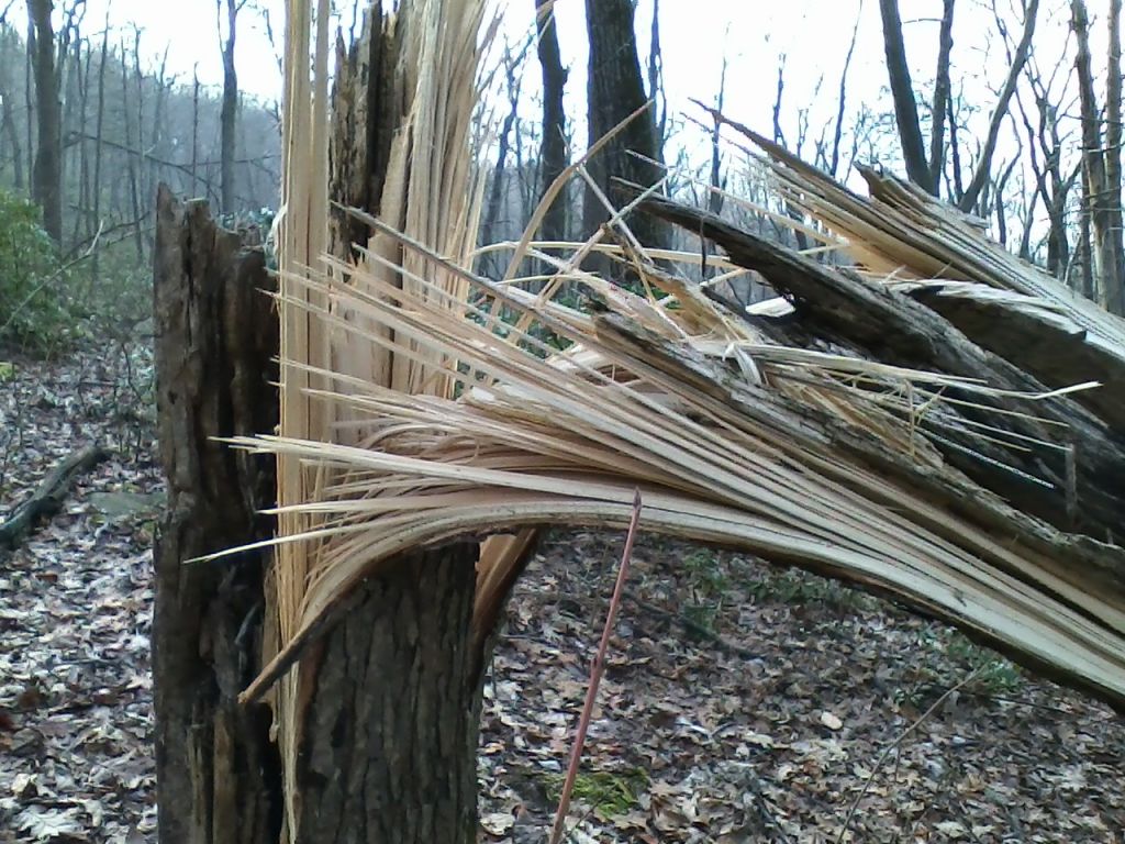 1112121334a.jpg : Harriman - First Hiking after Sandy Nov 12, 2012 1112121334a.jpg : Harriman - First Hiking after Sandy Nov 12, 2012