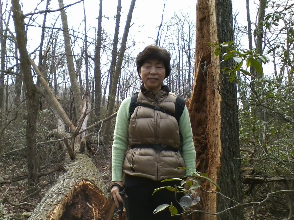1112121307a.jpg : Harriman - First Hiking after Sandy Nov 12, 2012 1112121307a.jpg : Harriman - First Hiking after Sandy Nov 12, 2012