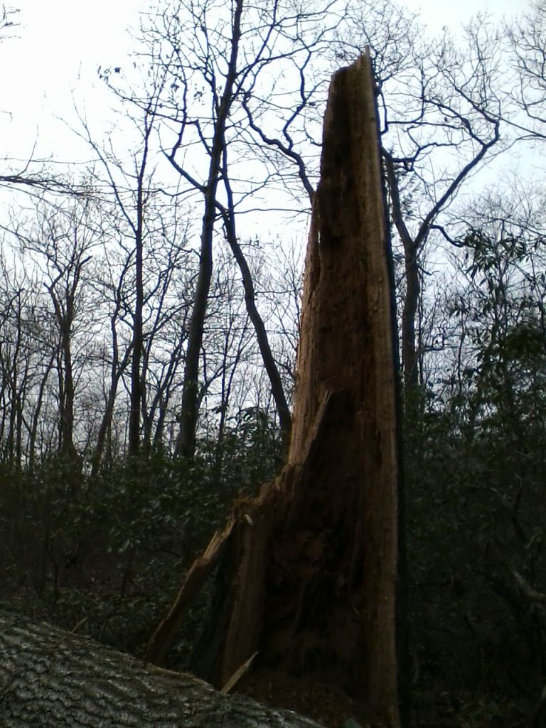 1112121306.jpg : Harriman - First Hiking after Sandy Nov 12, 2012 1112121306.jpg : Harriman - First Hiking after Sandy Nov 12, 2012