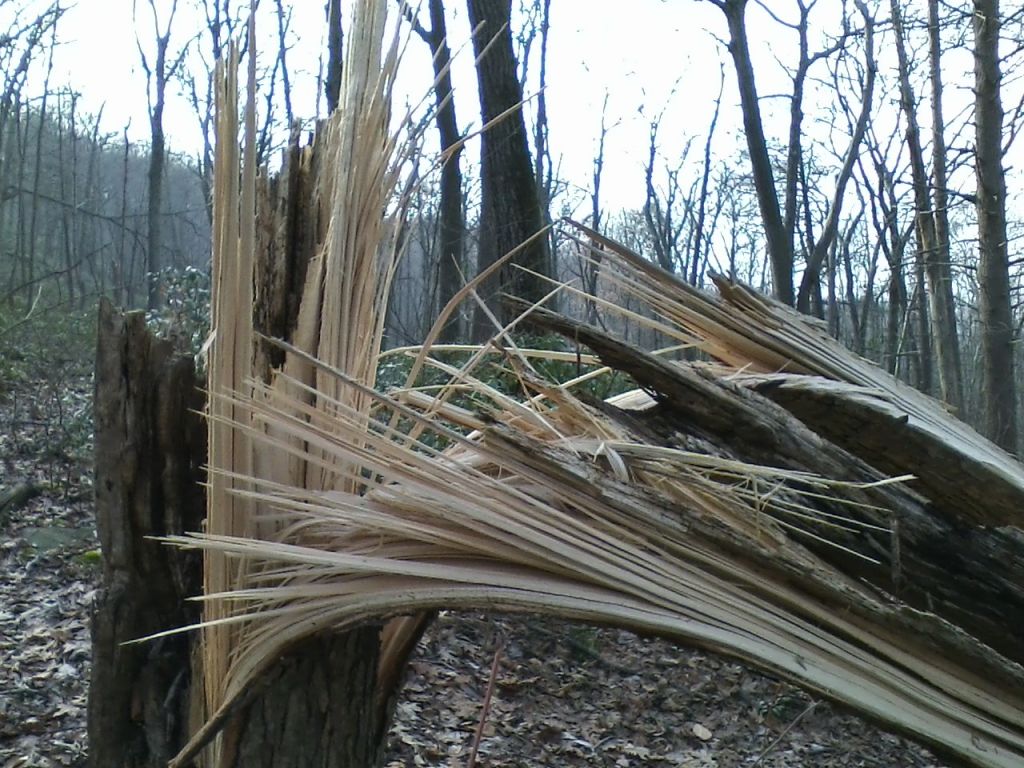 1112121334.jpg : Harriman - First Hiking after Sandy Nov 12, 2012 1112121334.jpg : Harriman - First Hiking after Sandy Nov 12, 2012