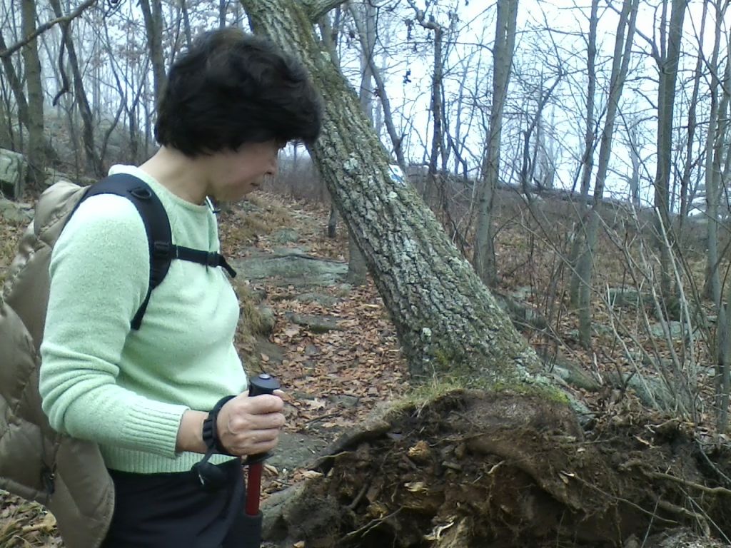 1112121121.jpg : Harriman - First Hiking after Sandy Nov 12, 2012 1112121121.jpg : Harriman - First Hiking after Sandy Nov 12, 2012