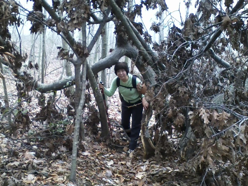 1112121125.jpg : Harriman - First Hiking after Sandy Nov 12, 2012 1112121125.jpg : Harriman - First Hiking after Sandy Nov 12, 2012