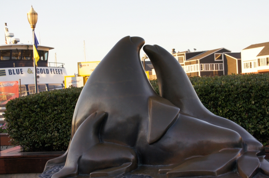 Photo Editor_526.JPG : (4) Fisherman's Wharf and Pier 39