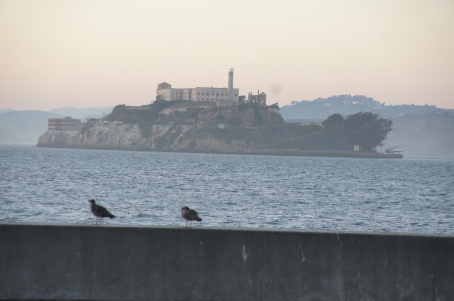 Photo Editor_540.JPG : (4) Fisherman's Wharf and Pier 39