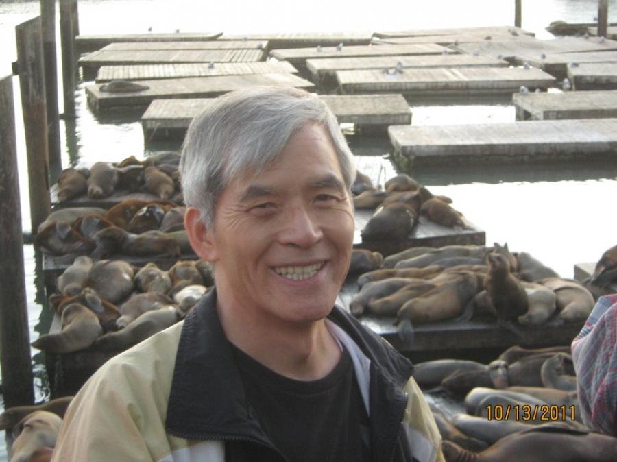 Photo Editor_Pier 39 111013l Sea Lions.JPG : (4) Fisherman's Wharf and Pier 39
