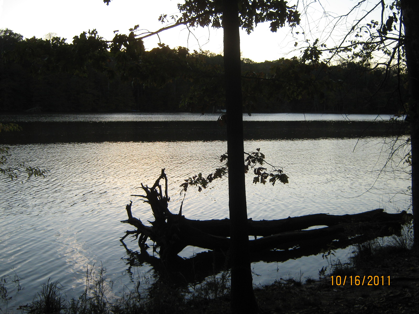 IMG_1743.JPG : Oct 16, 2011 Bull Run-Occoquan Trail