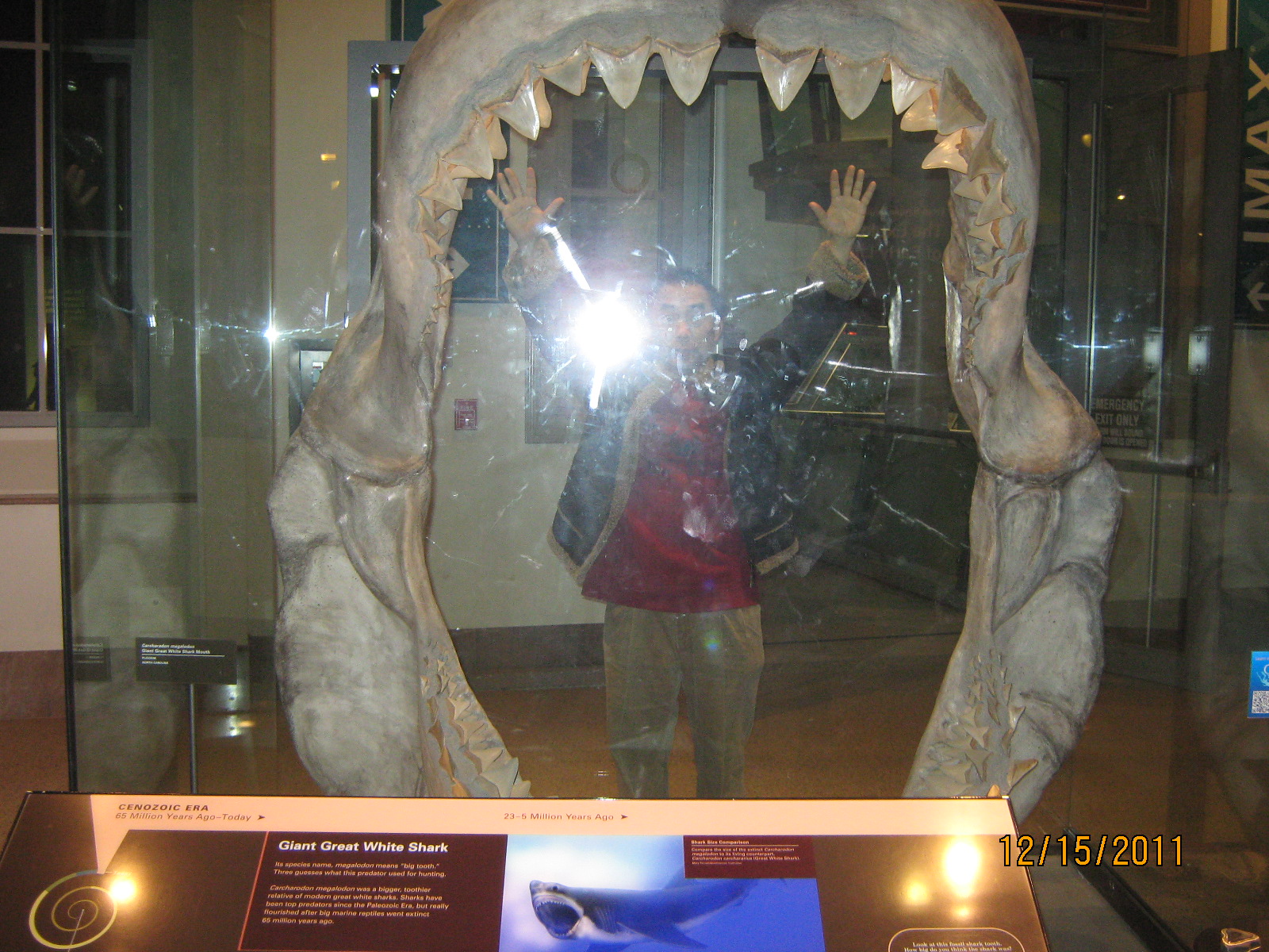 IMG_1826.JPG : Dec 15, 2011 워싱턴 시내관광과 Mt. Vernon 관광