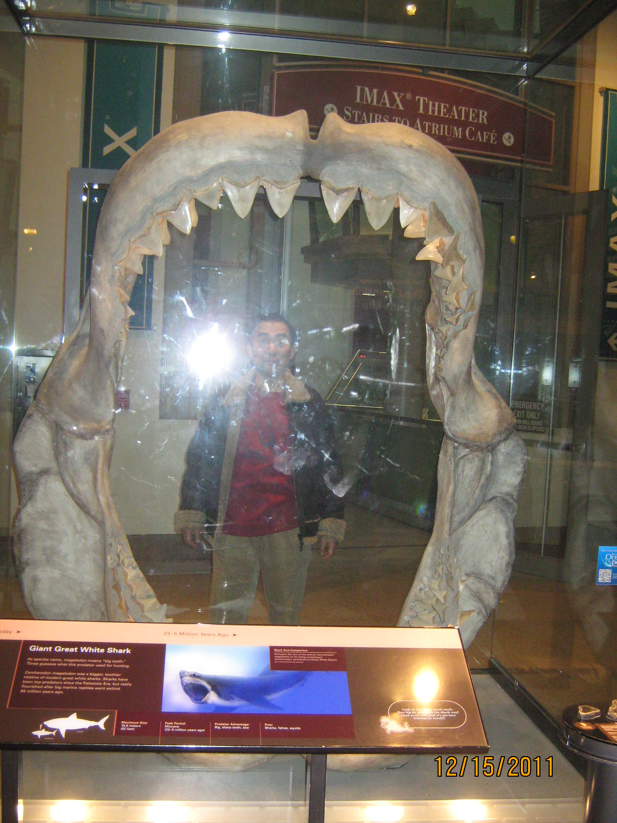 IMG_1827.JPG : Dec 15, 2011 워싱턴 시내관광과 Mt. Vernon 관광