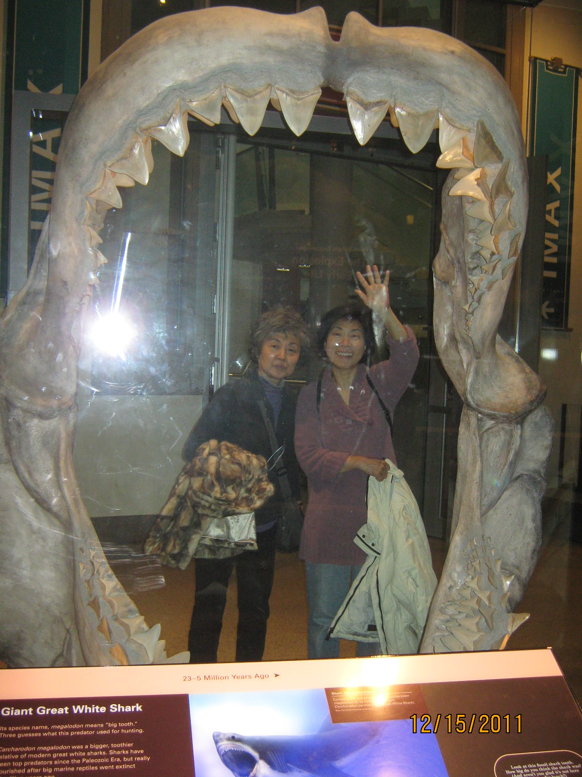 IMG_1828.JPG : Dec 15, 2011 워싱턴 시내관광과 Mt. Vernon 관광
