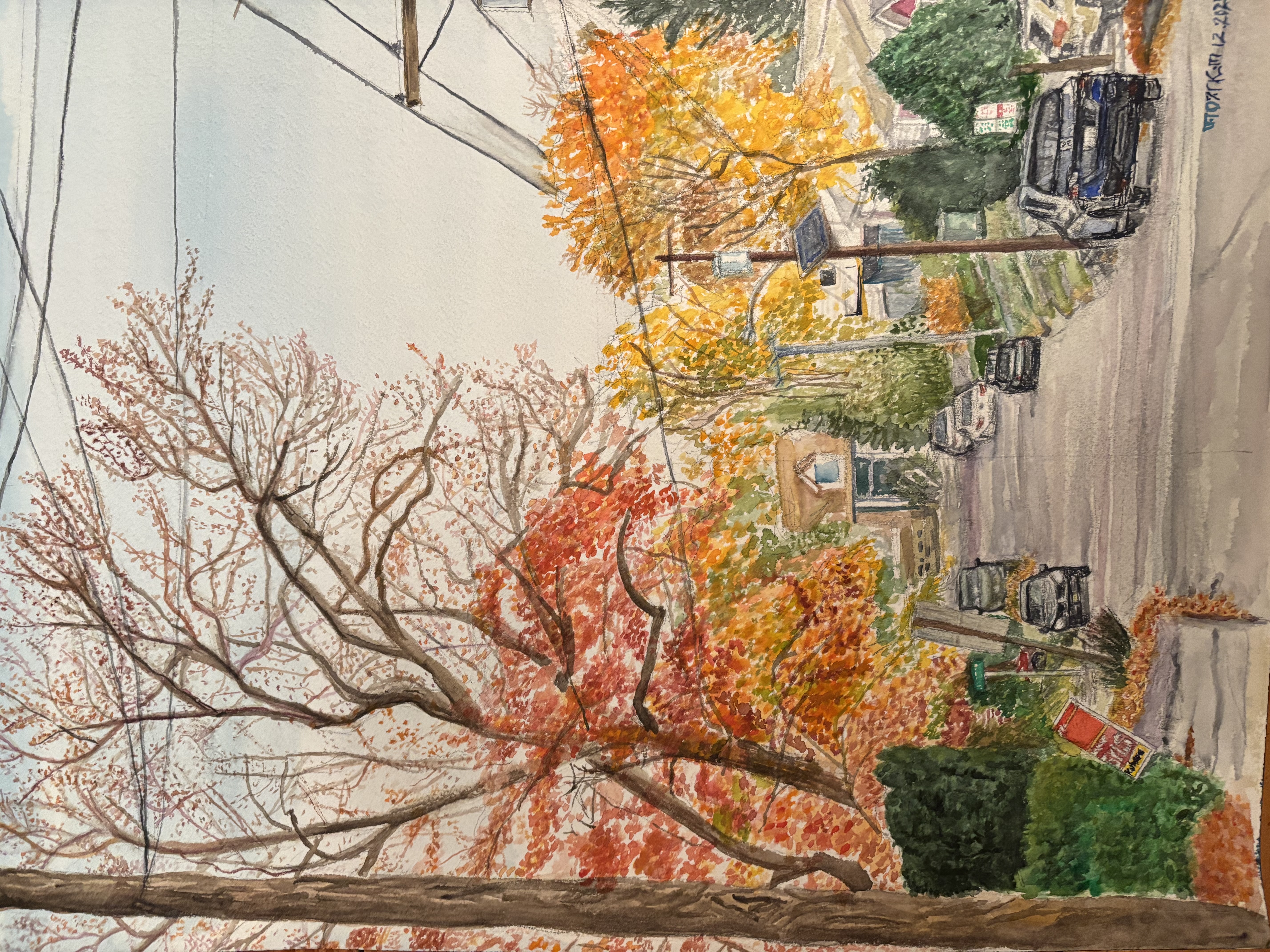 251219 Late Autumn Street View from Windows.JPG
