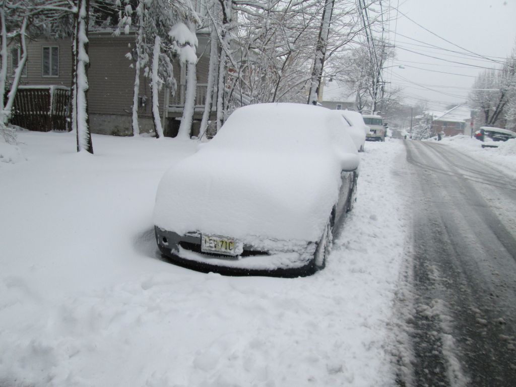 IMG_0356.JPG : Mar 8, 2013 Another Snow Storm