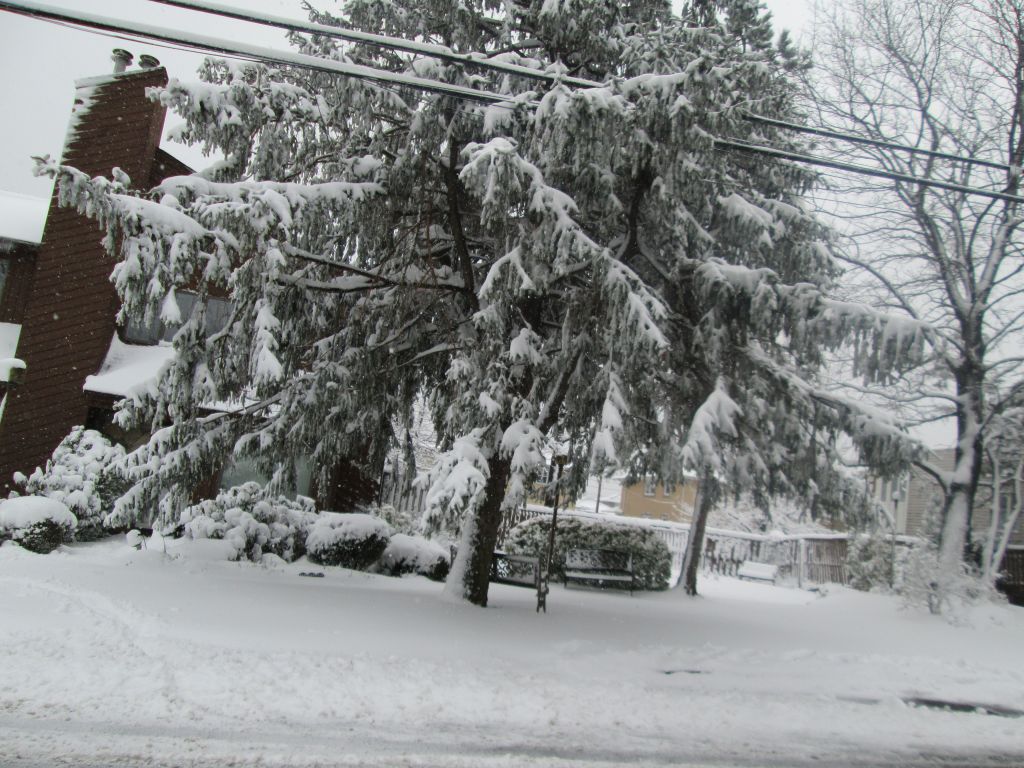 IMG_0355.JPG : Mar 8, 2013 Another Snow Storm