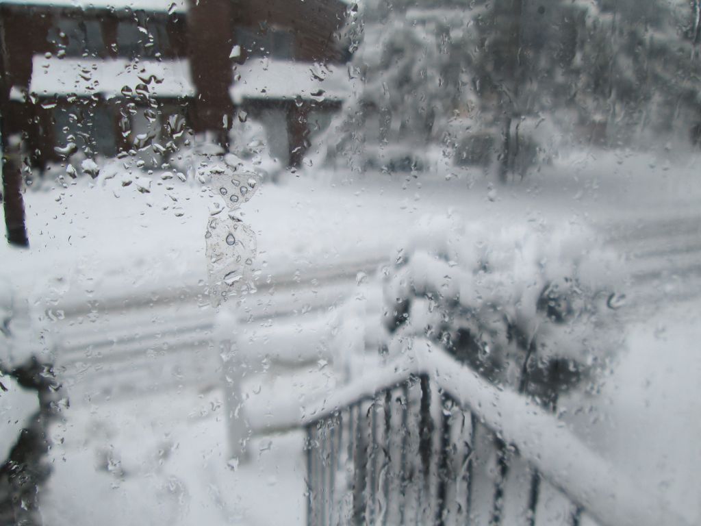 IMG_0350.JPG : Mar 8, 2013 Another Snow Storm
