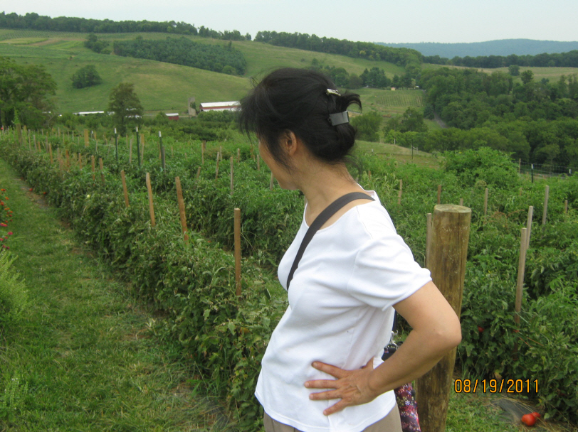 Photo Editor_IMG_1513.JPG