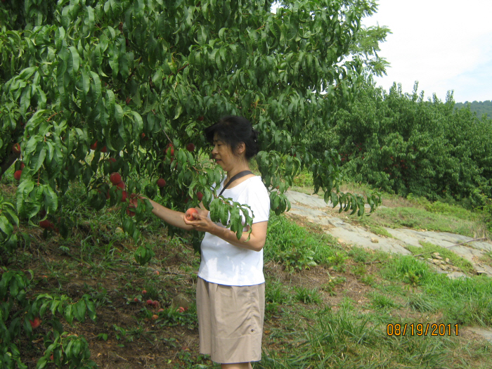 Photo Editor_IMG_1510.JPG