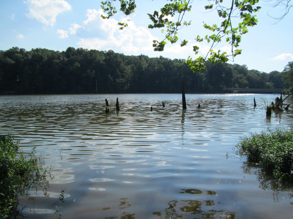 IMG_1880.JPG : Bull Run, we are back! Aug 4, 2013