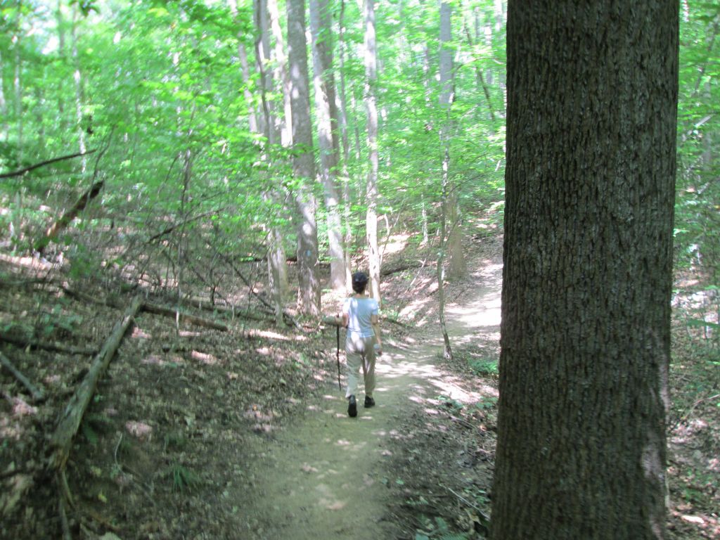 IMG_1866.JPG : Bull Run, we are back! Aug 4, 2013