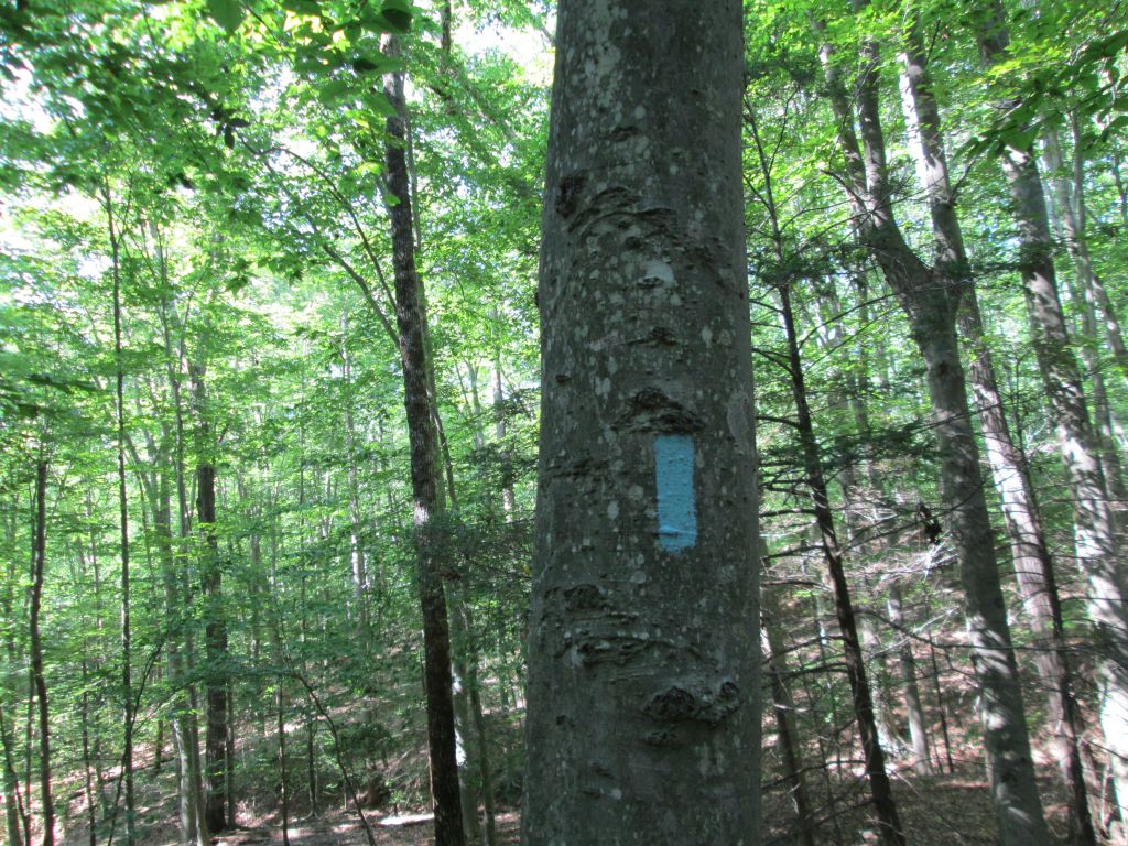 IMG_1875.JPG : Bull Run, we are back! Aug 4, 2013