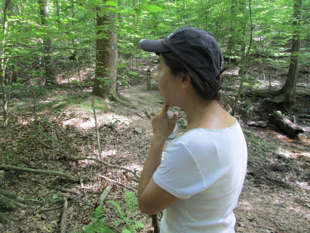 IMG_1868.JPG : Bull Run, we are back! Aug 4, 2013